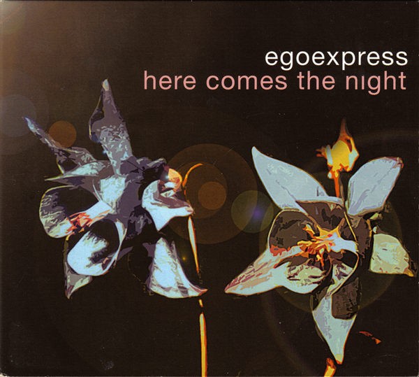 Here Comes The Night cover