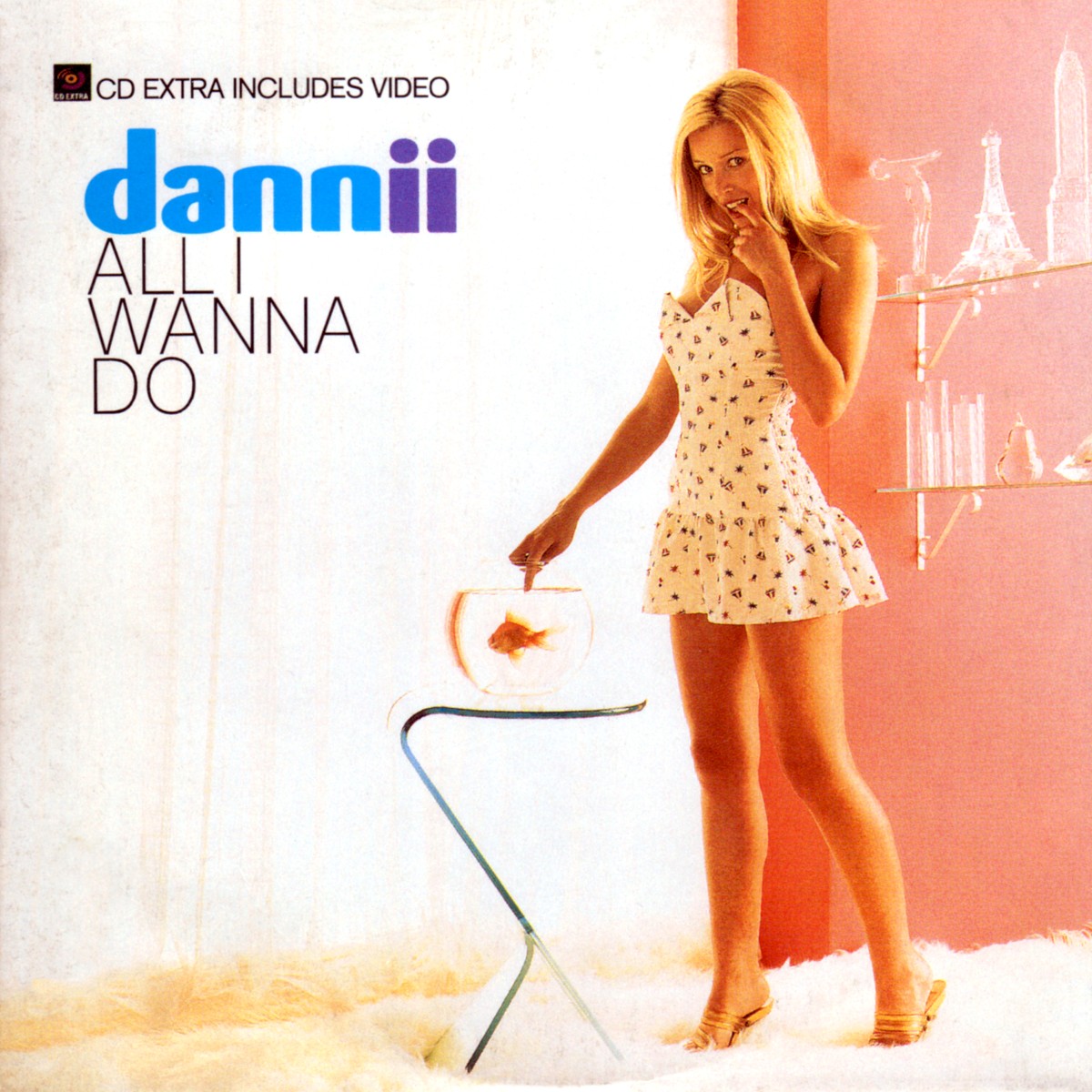 All I Wanna Do cover