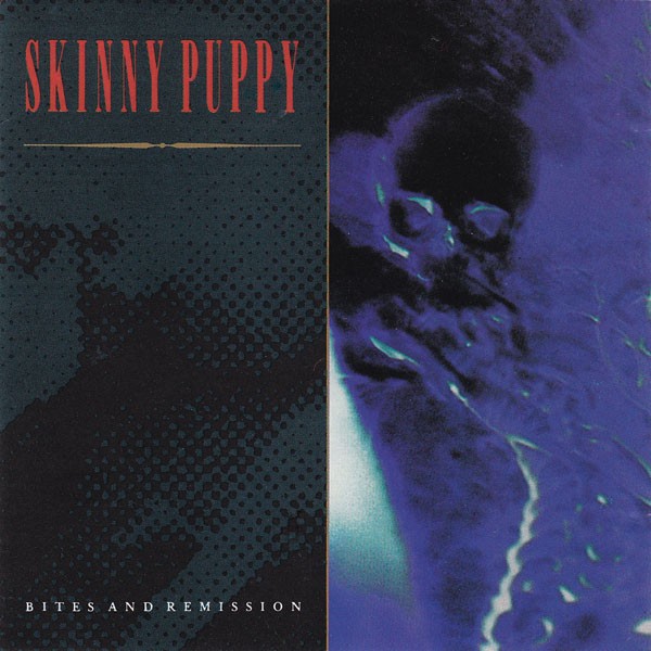 Bites And Remission cover