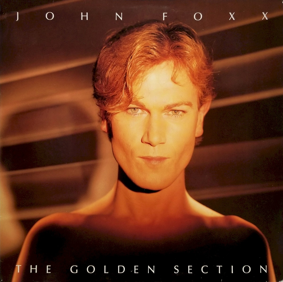 The Golden Section cover