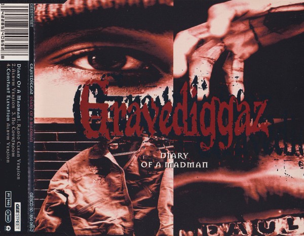 Diary Of A Madman cover