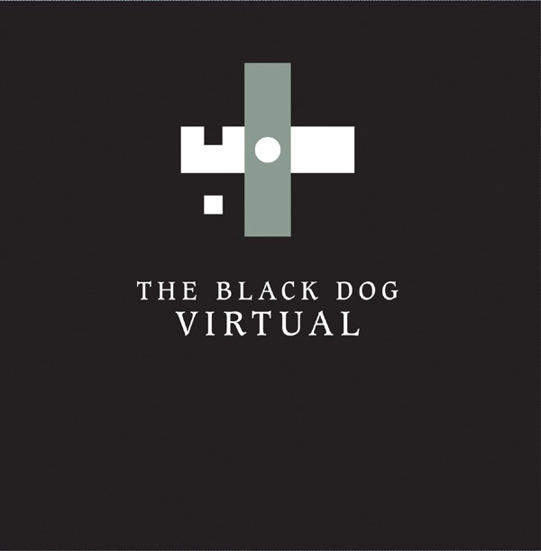 Virtual cover
