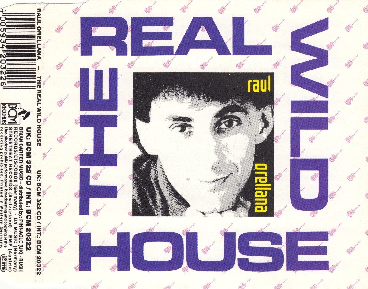 The Real Wild House (The Wild Mix) cover