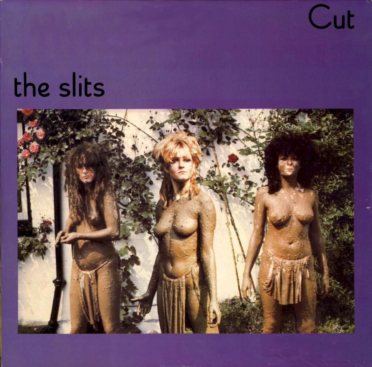 Cut cover