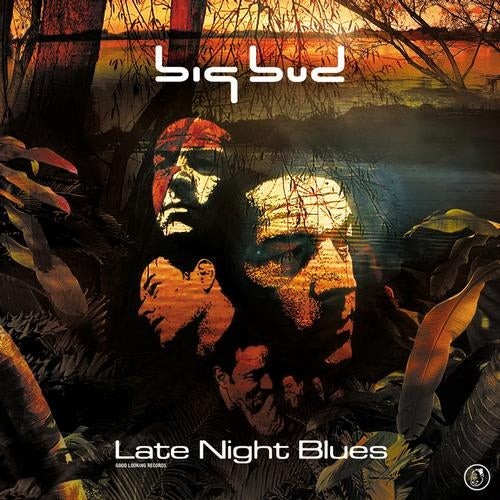 Late Night Blues cover