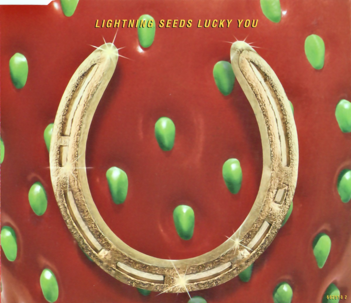 Lucky You cover