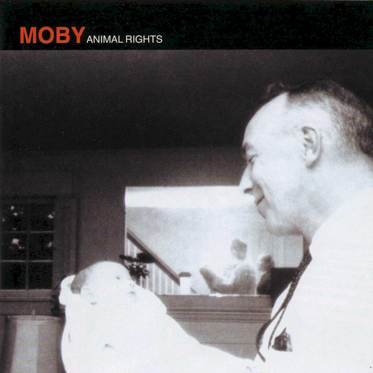 Animal Rights cover