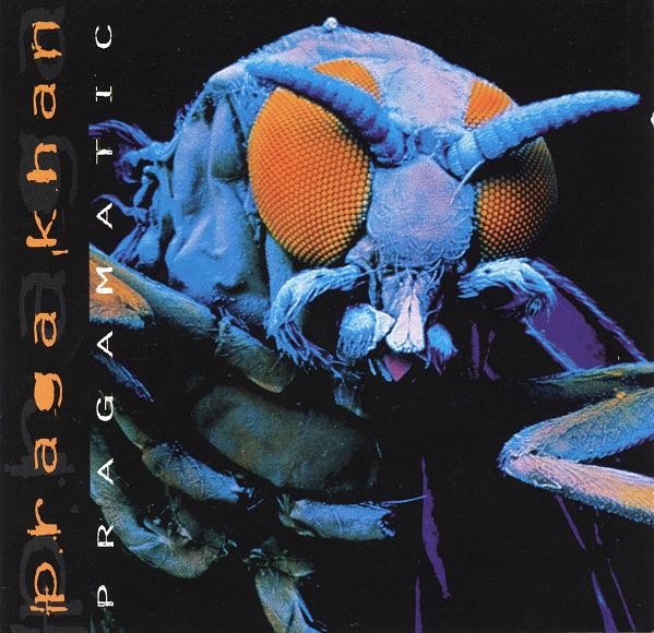 Pragamatic cover