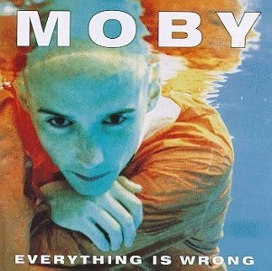 Everything Is Wrong cover