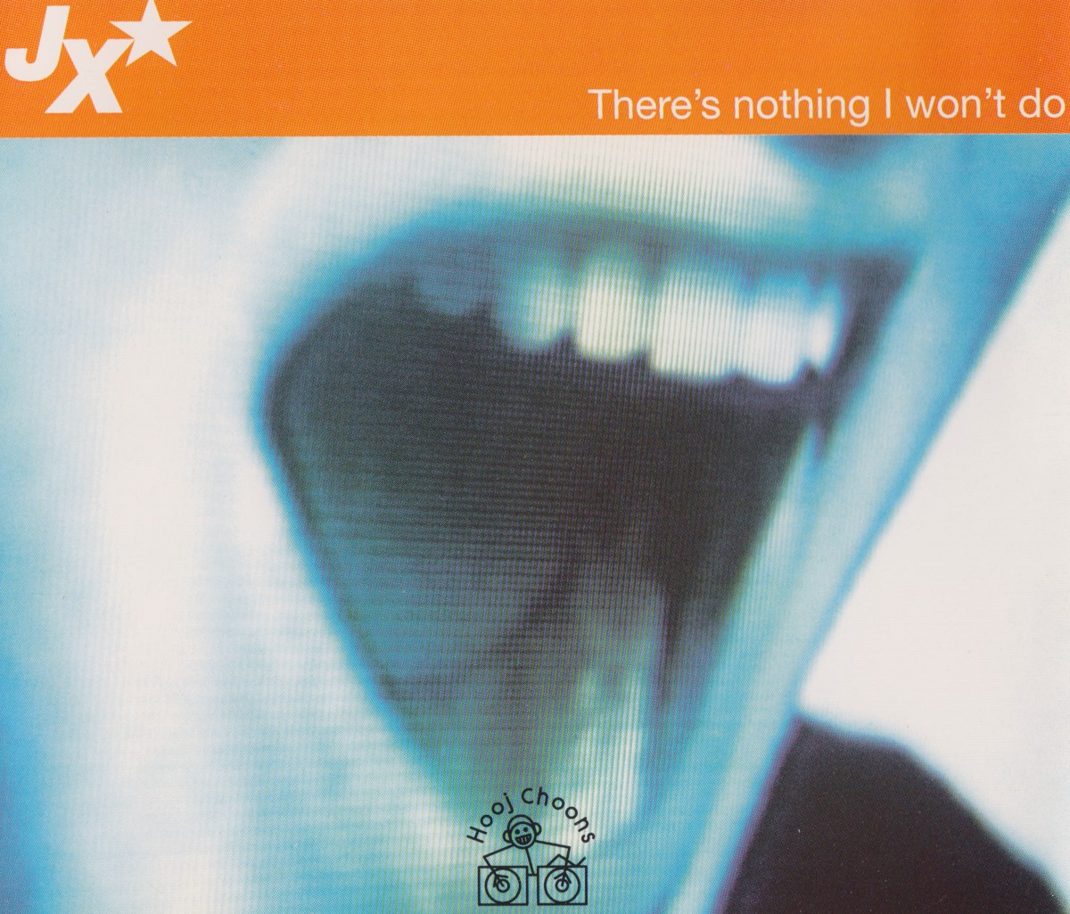There's Nothing I Won't Do cover