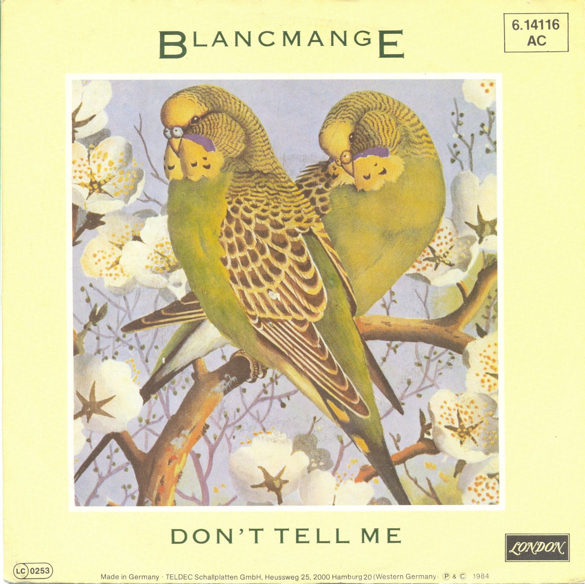 Don't Tell Me cover