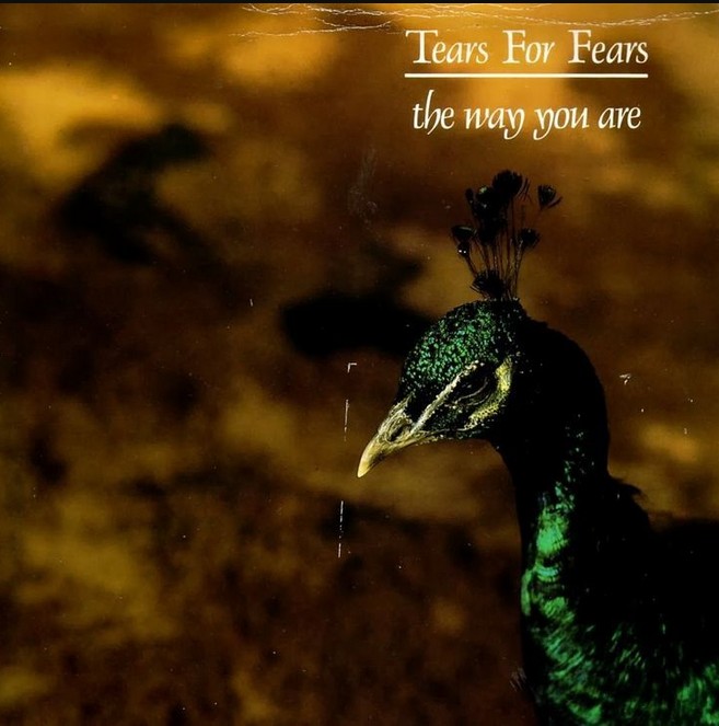 The Way You Are cover
