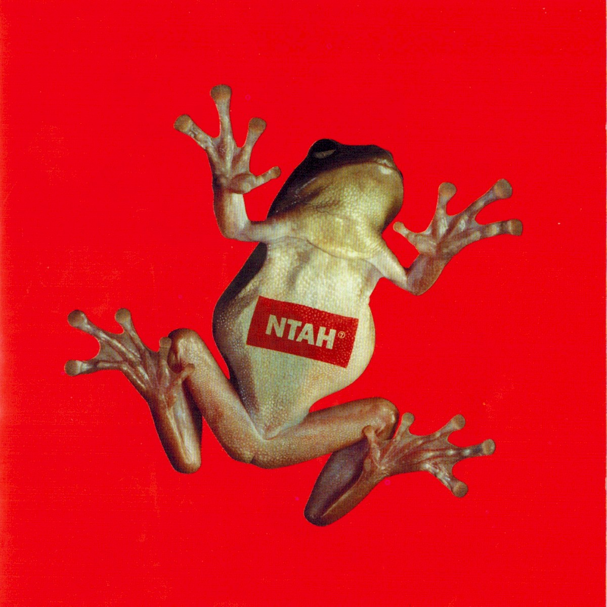 Never Trust A Hippy cover