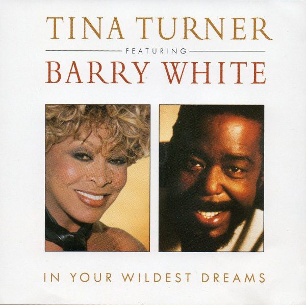 In Your Wildest Dreams cover