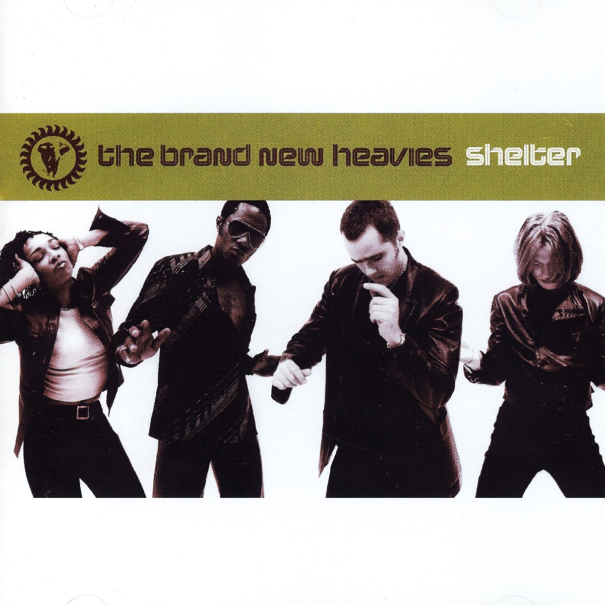 Shelter cover
