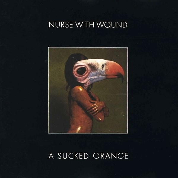 A Sucked Orange cover