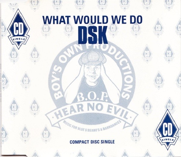 What Would We Do cover