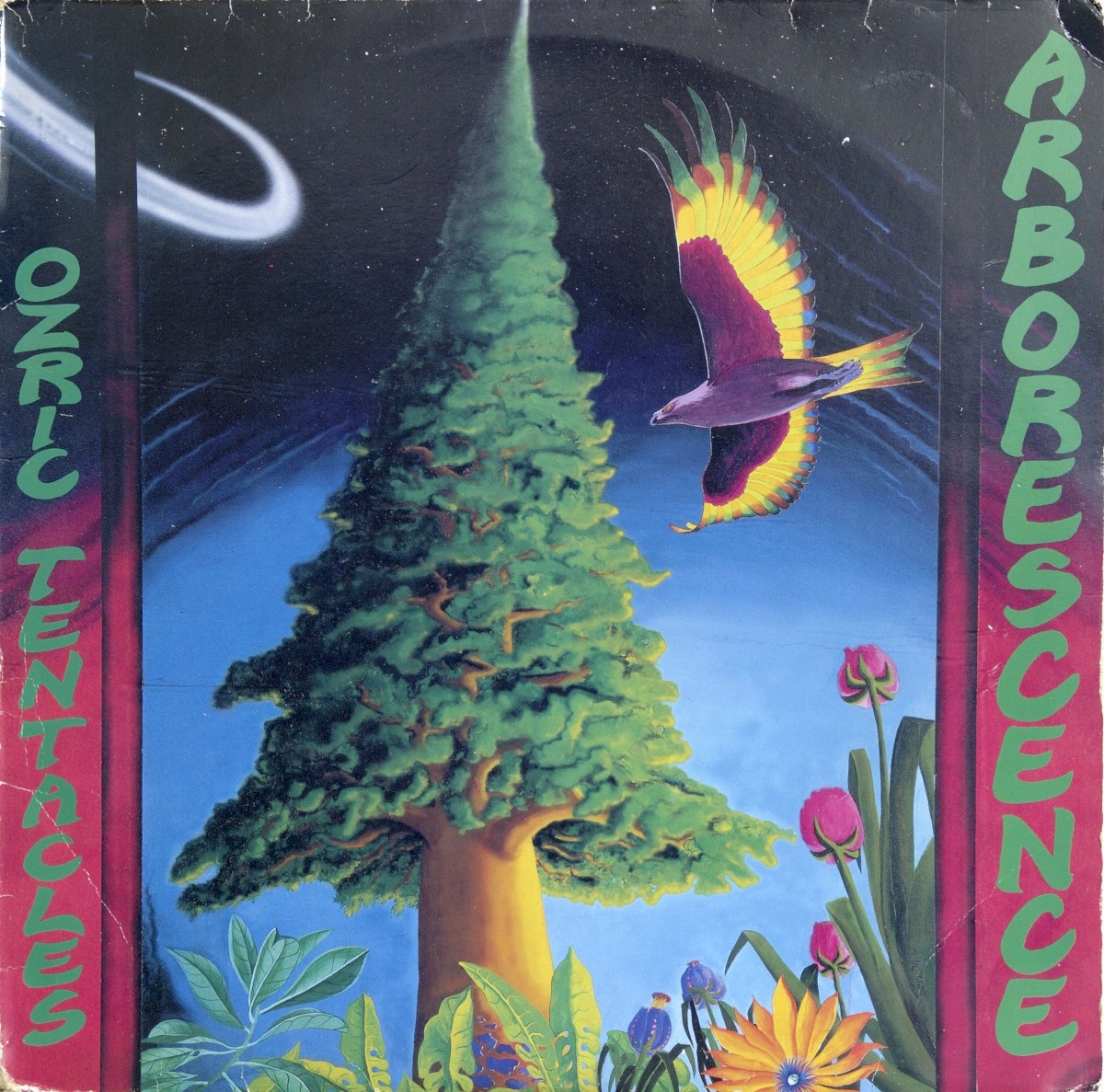 Arborescence cover