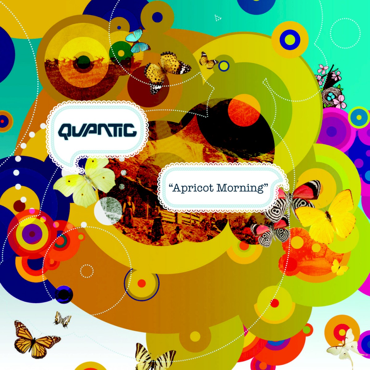 Apricot Morning cover