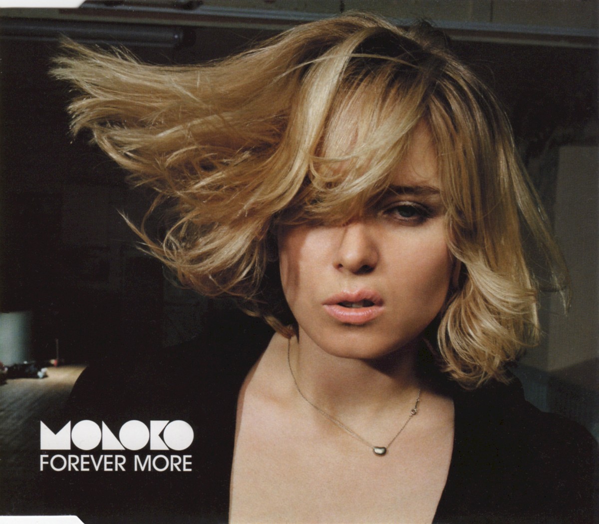 Molobert cover