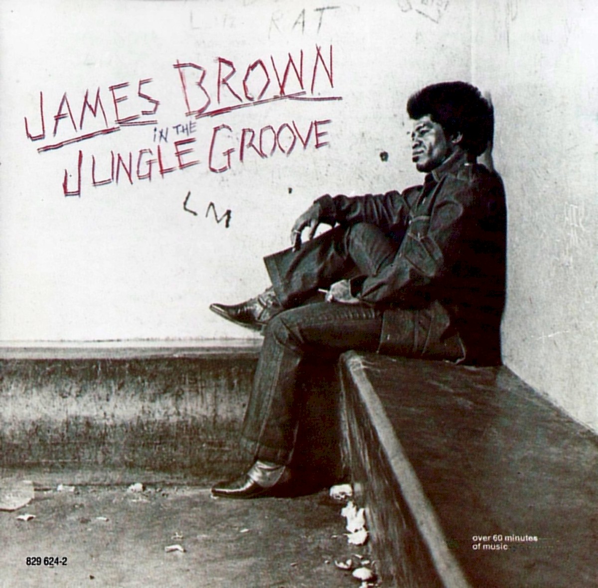 In The Jungle Groove cover