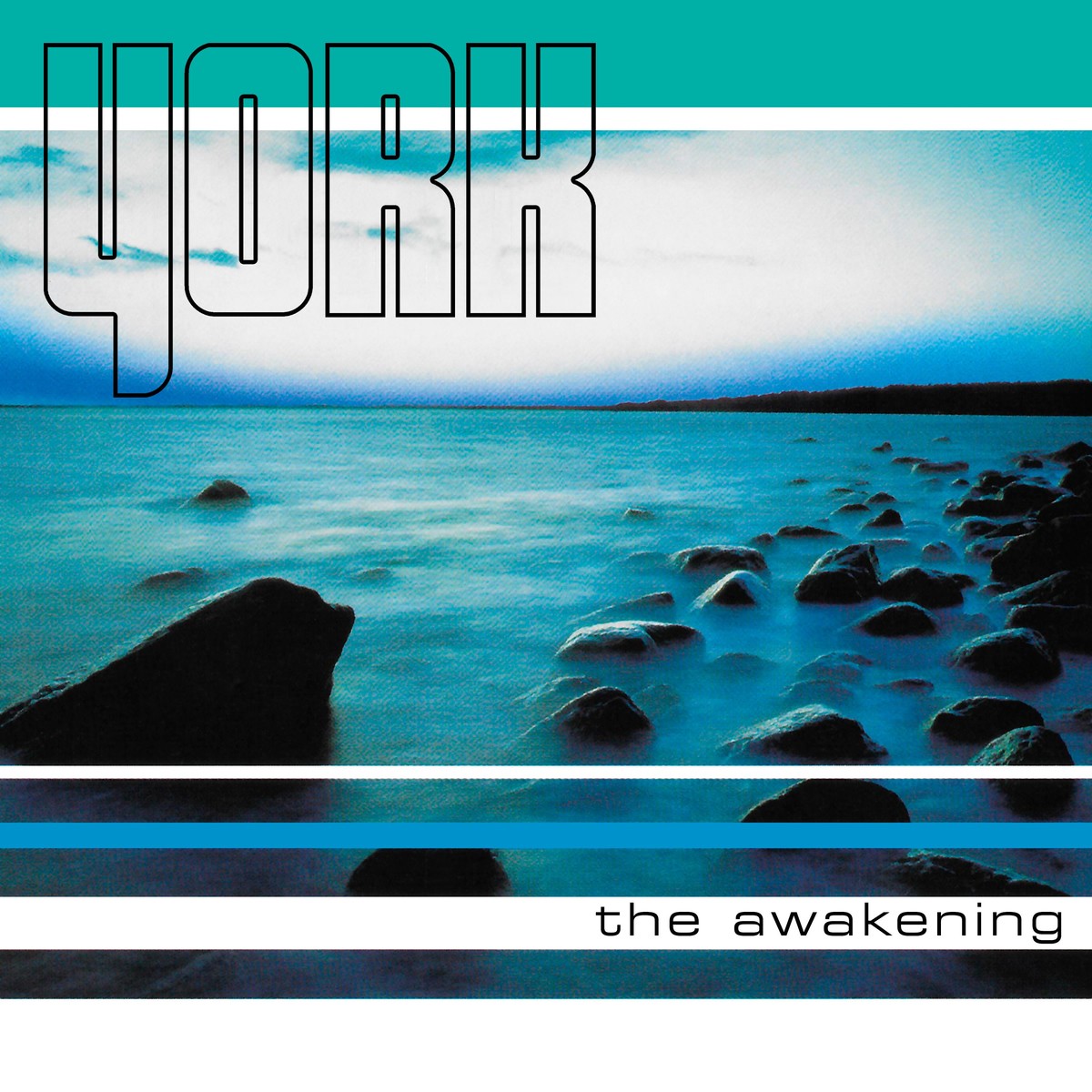 The Awakening cover
