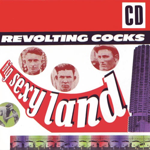 Big Sexy Land cover