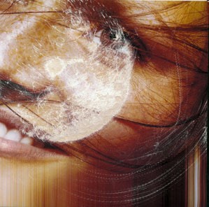 E8 cover