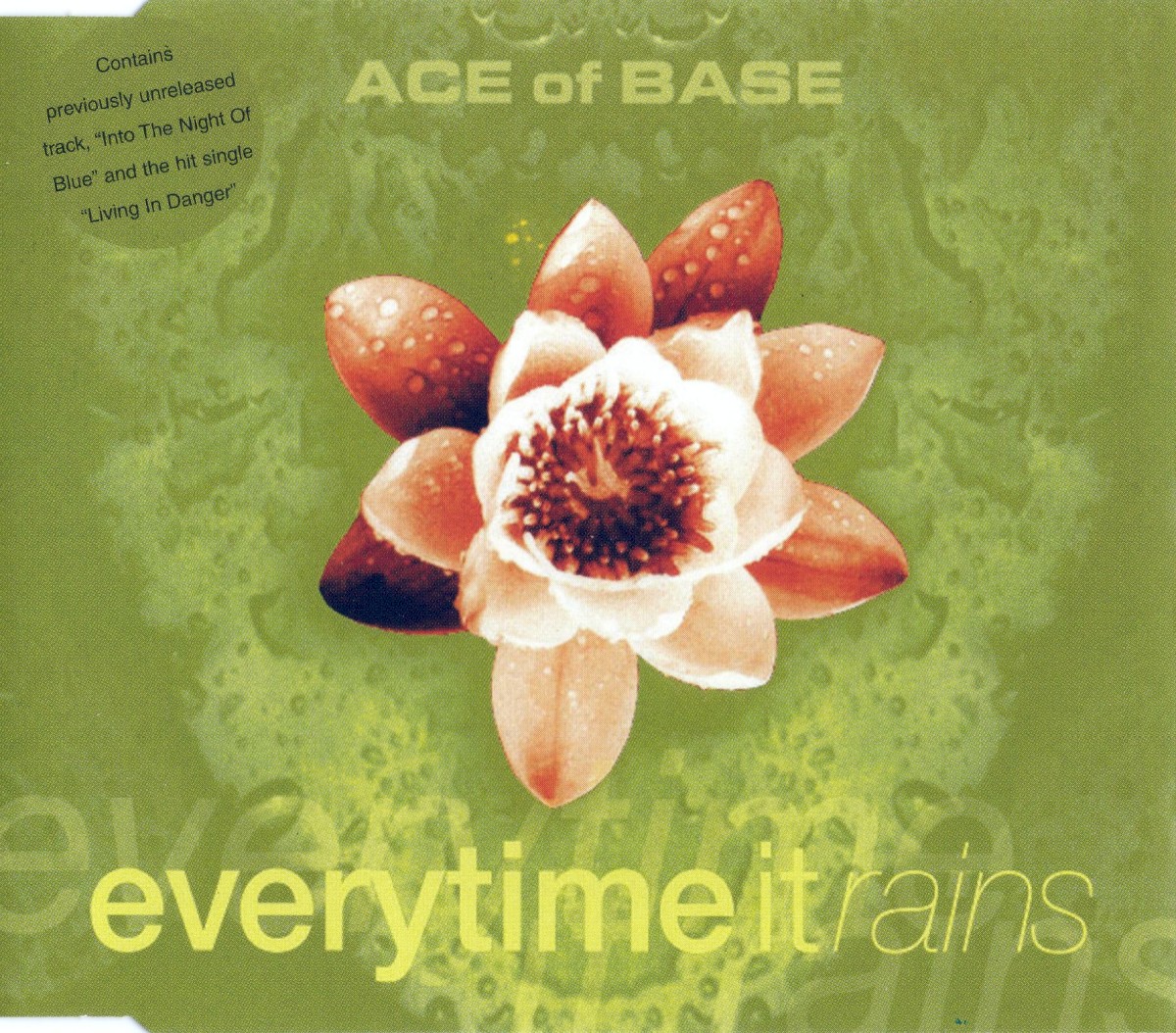 Everytime It Rains cover