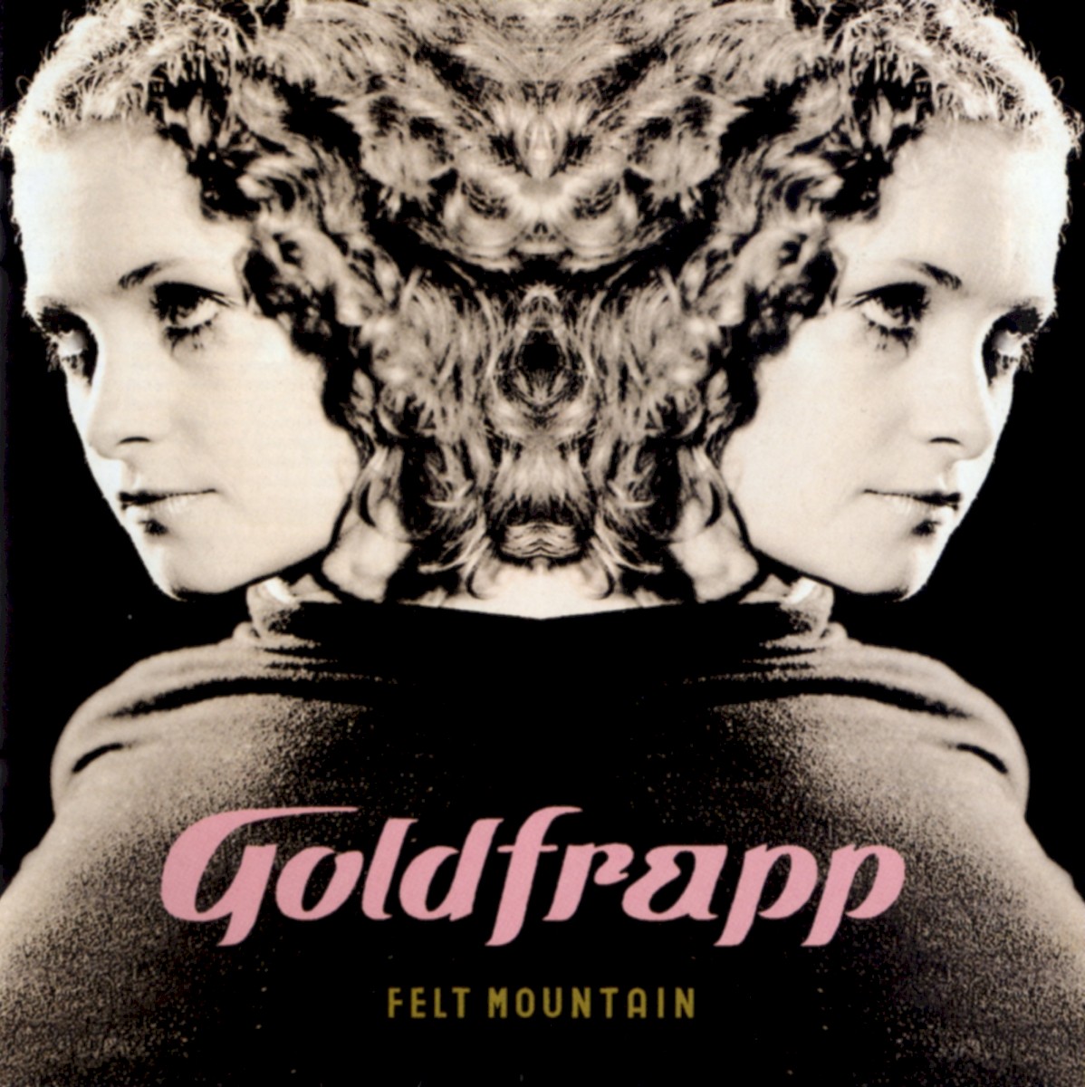 Felt Mountain cover