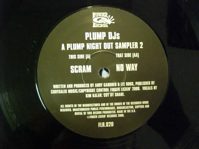 A Plump Night Out (Sampler 2) cover