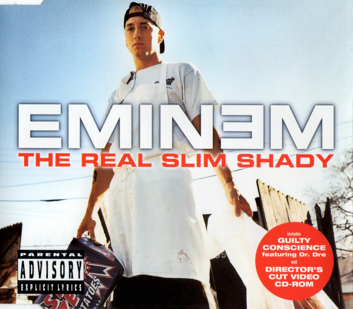 The Real Slim Shady cover