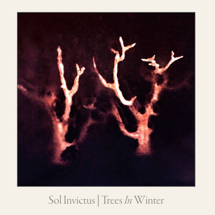 Trees In Winter cover