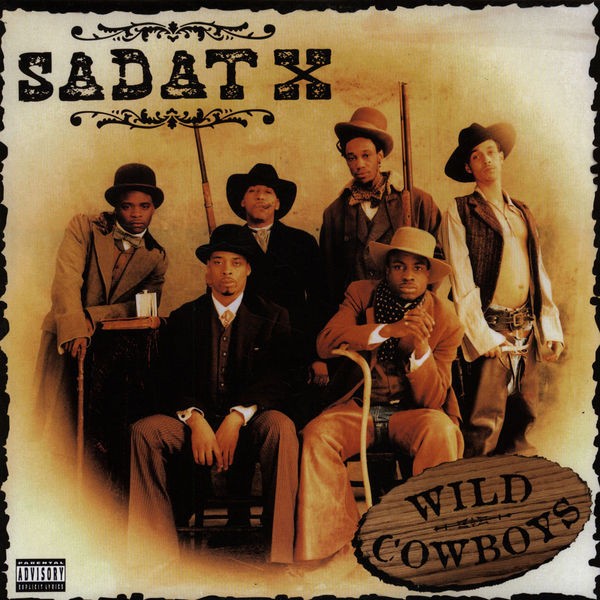Wild Cowboys cover