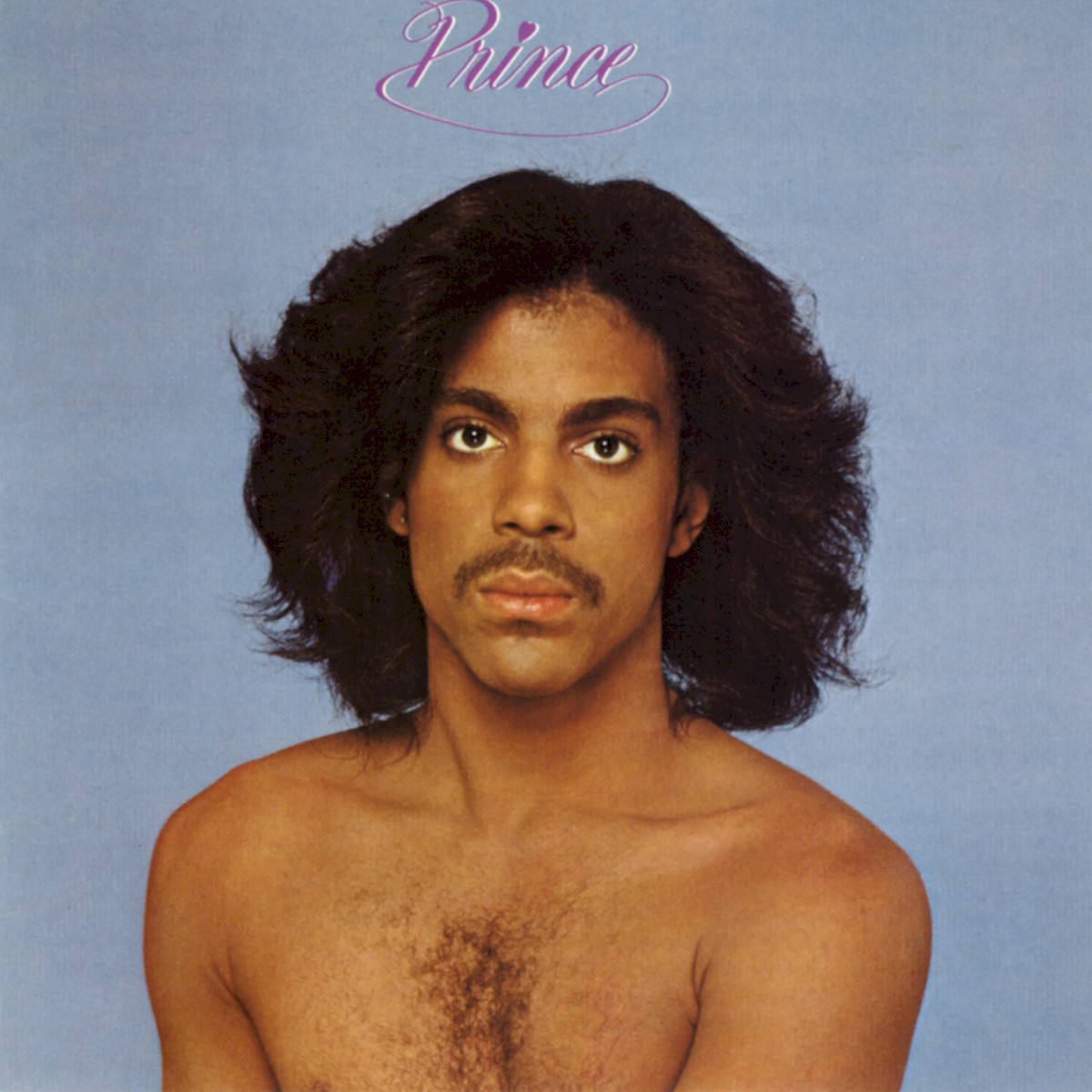 Prince cover