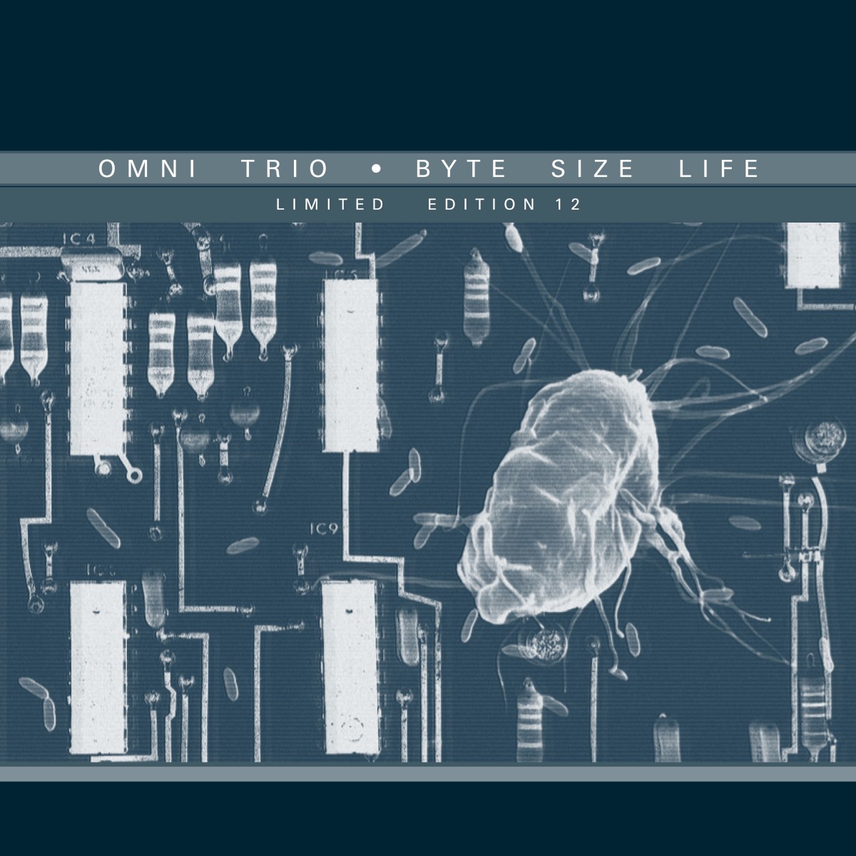 Byte Size Life cover