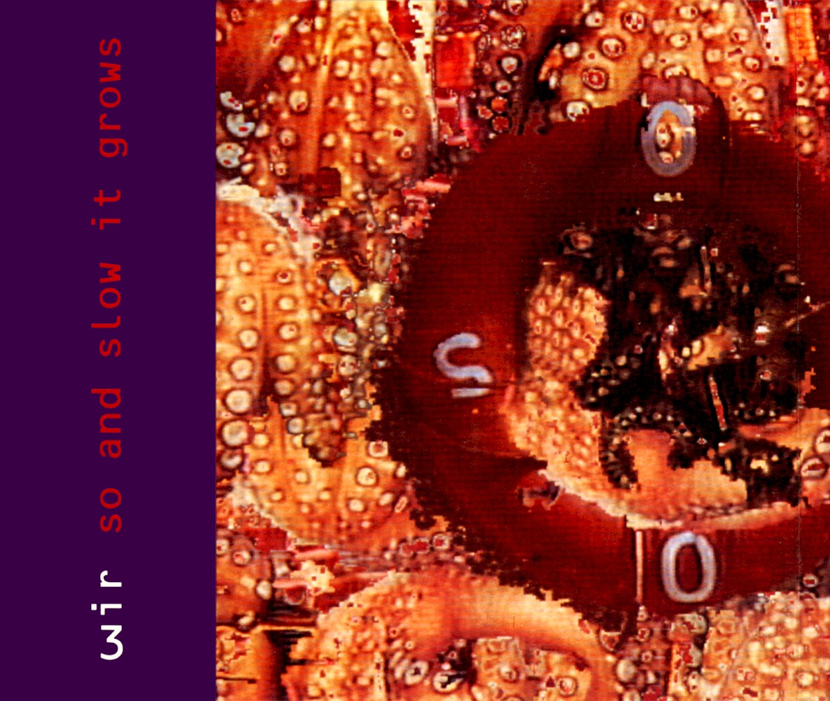 So And Slow It Grows cover