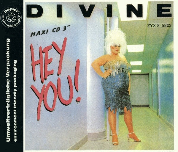 Hey You! cover