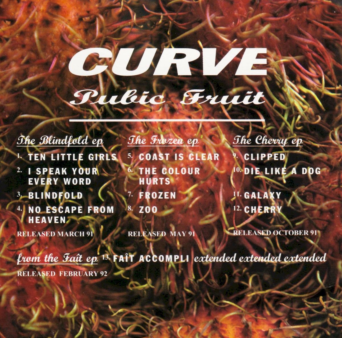 Pubic Fruit cover