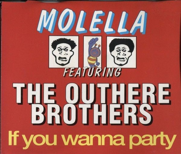 If You Wanna Party cover
