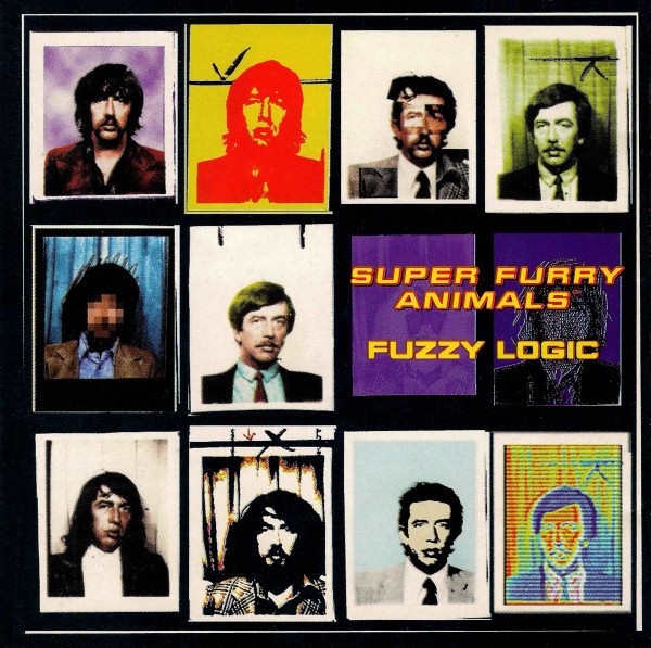 Fuzzy Logic cover