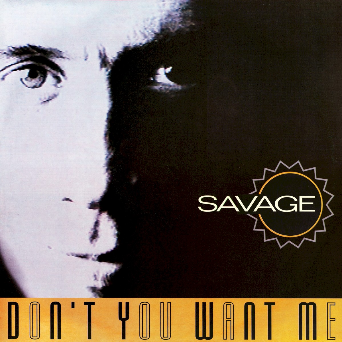 Don't You Want Me cover