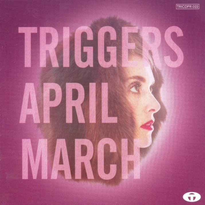 Triggers cover