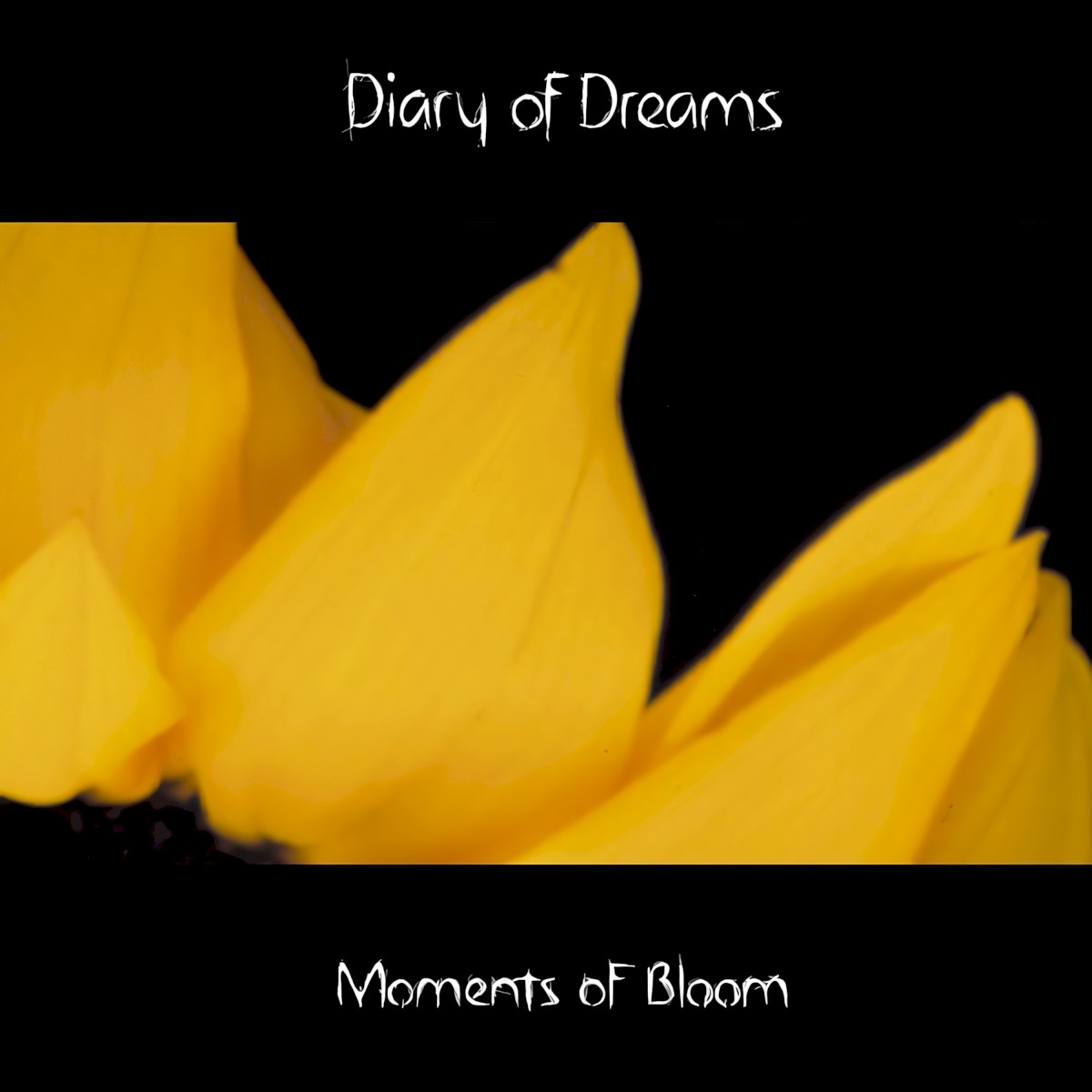 Moments Of Bloom cover
