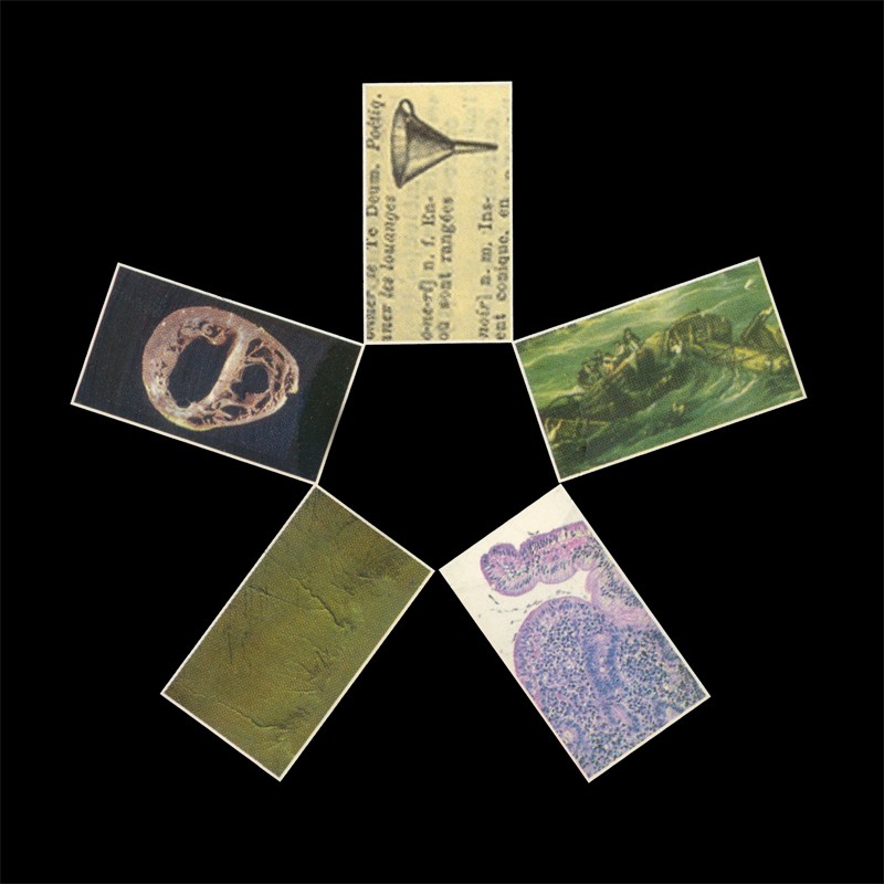 Acpklenc cover