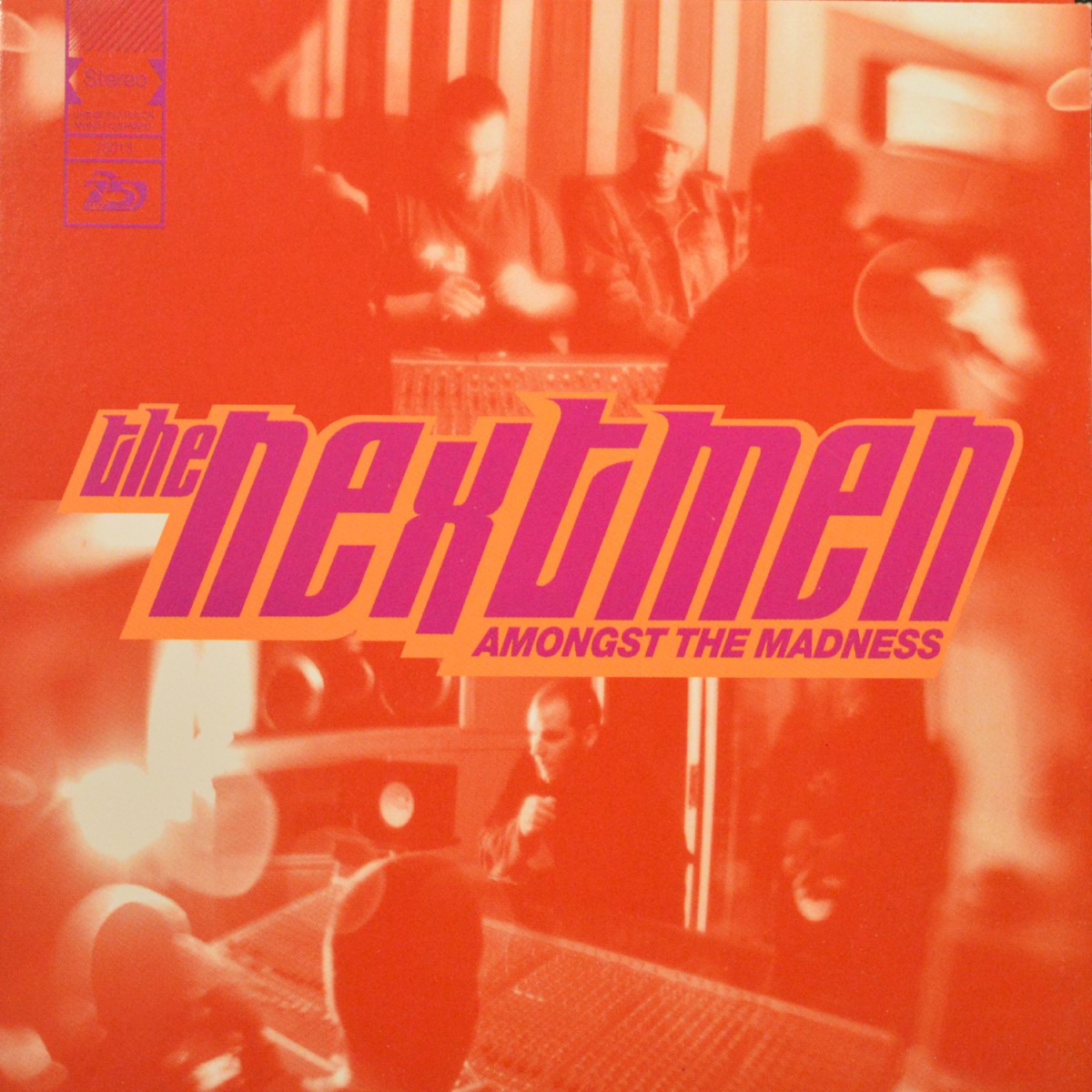 Amongst The Madness cover