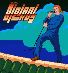 Ninjani Diskus cover