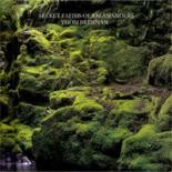 Secret Faiths Of Salamanders cover