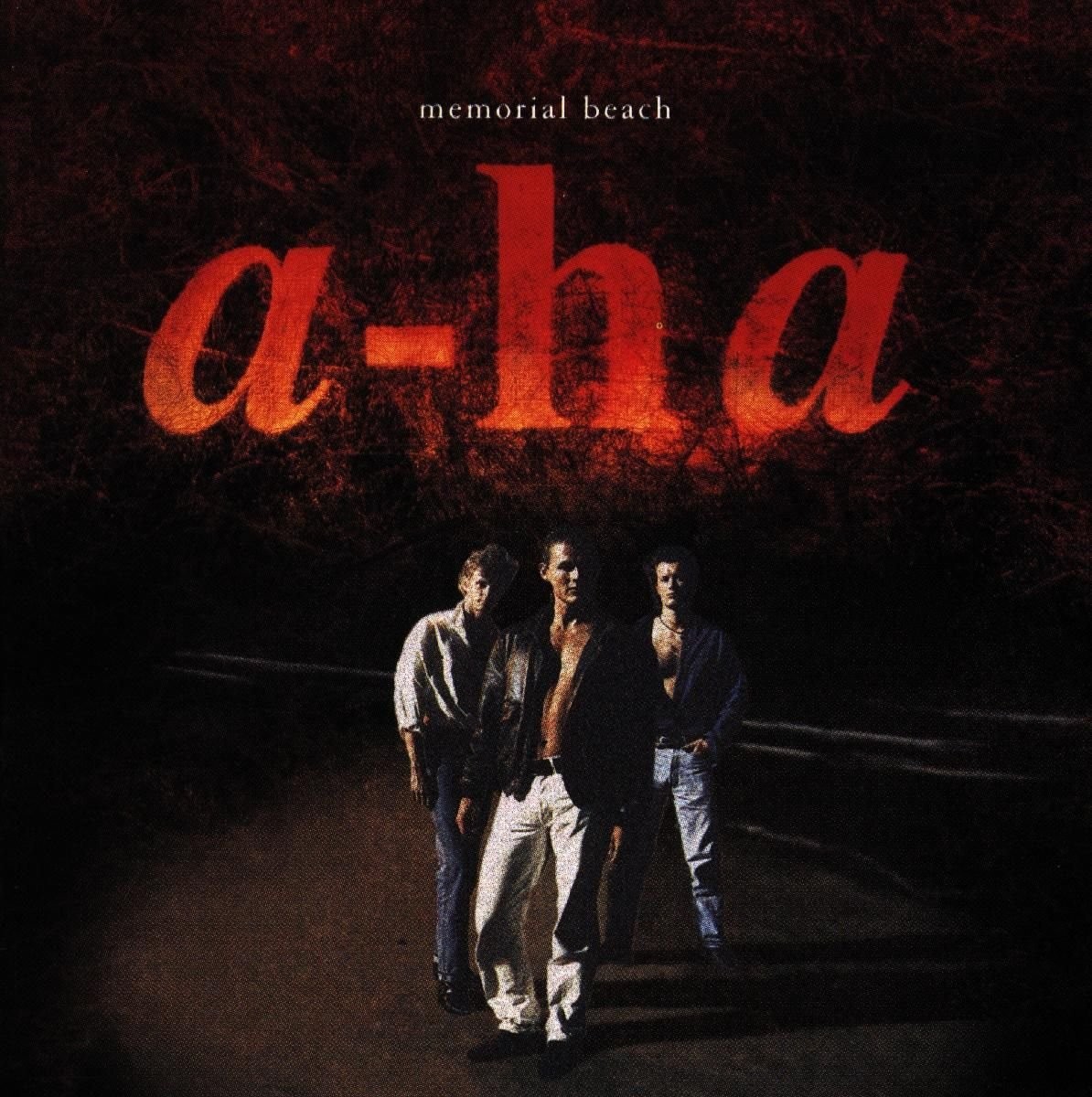 Memorial Beach cover