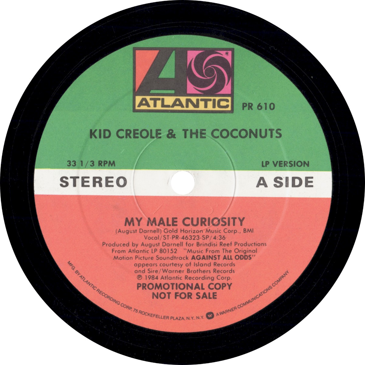My Male Curiosity cover
